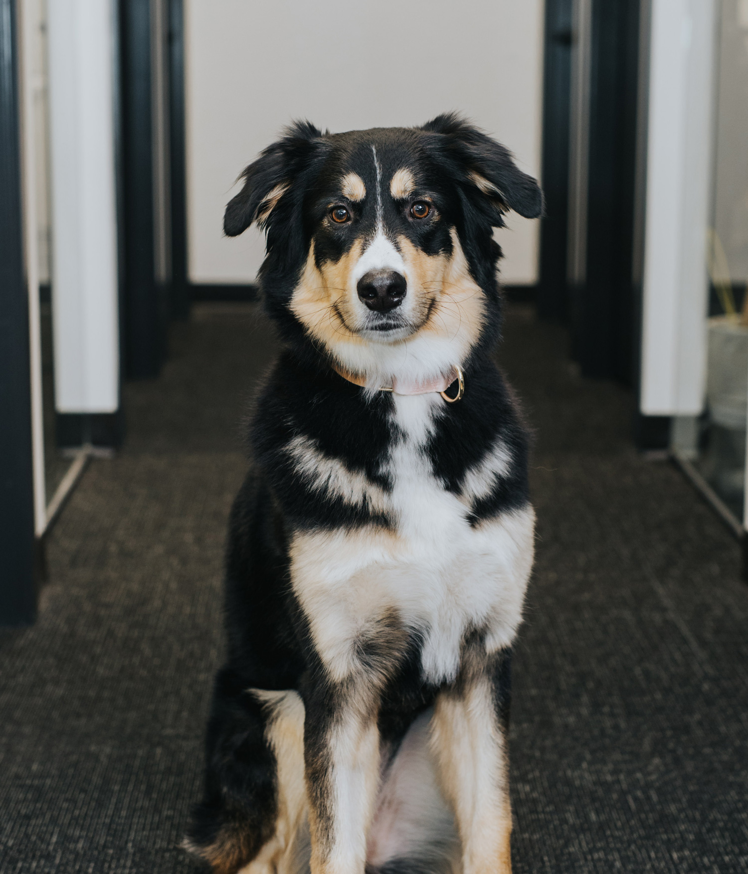 Apna Law LLP | Personalized Legal Solutions